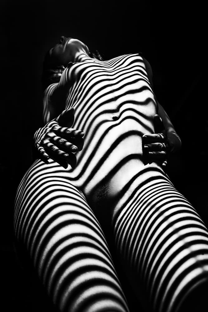 Sensual Striped Curves by Mikhail Faletkin — canvas wall art
