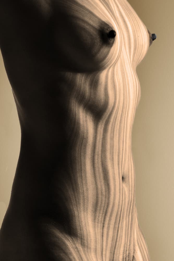 Sensual Curves and Shadows by PHILIPPE GODFROID — canvas wall art