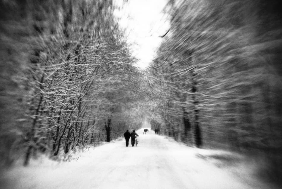 Dreamy Winter Path by Codrin Lupei — canvas wall art