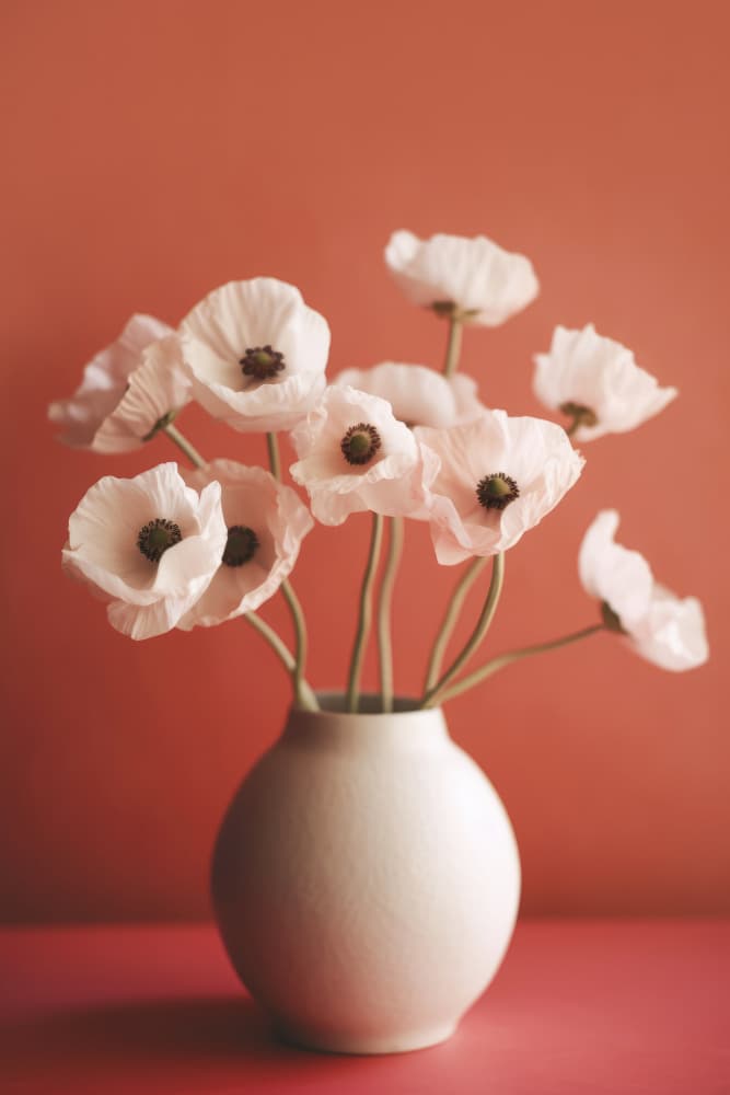 Poppies in Porcelain by Treechild — canvas wall art
