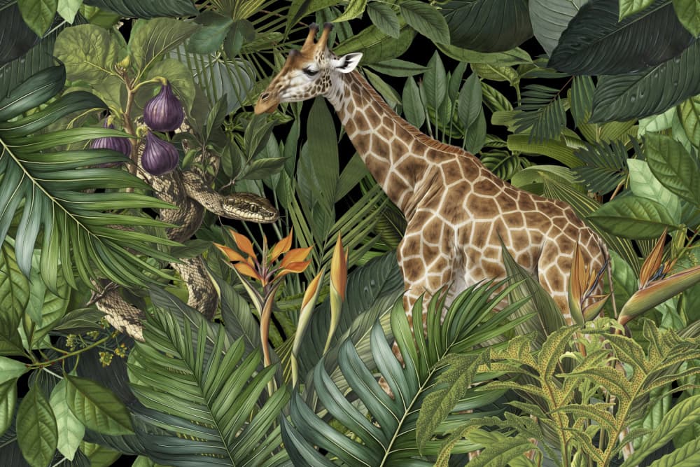 Lush Jungle Wildlife