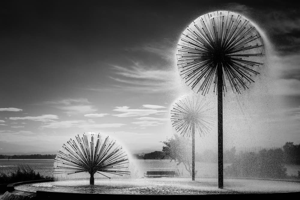 Serene Dandelion Fountains by Franz Baumann — canvas wall art
