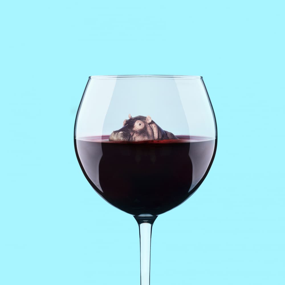 Whimsical Hippo Wine by Artem Pozdniakov — canvas wall art