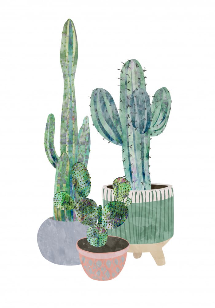 Potted Cactus Collection by Sarah Manovski — canvas wall art