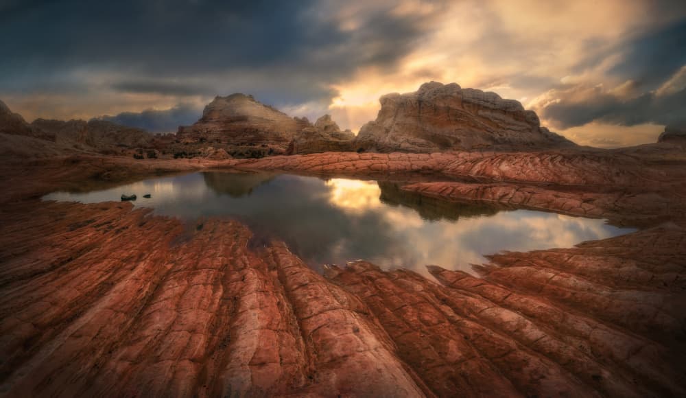 Golden Desert Reflections by Yanny Liu — canvas wall art