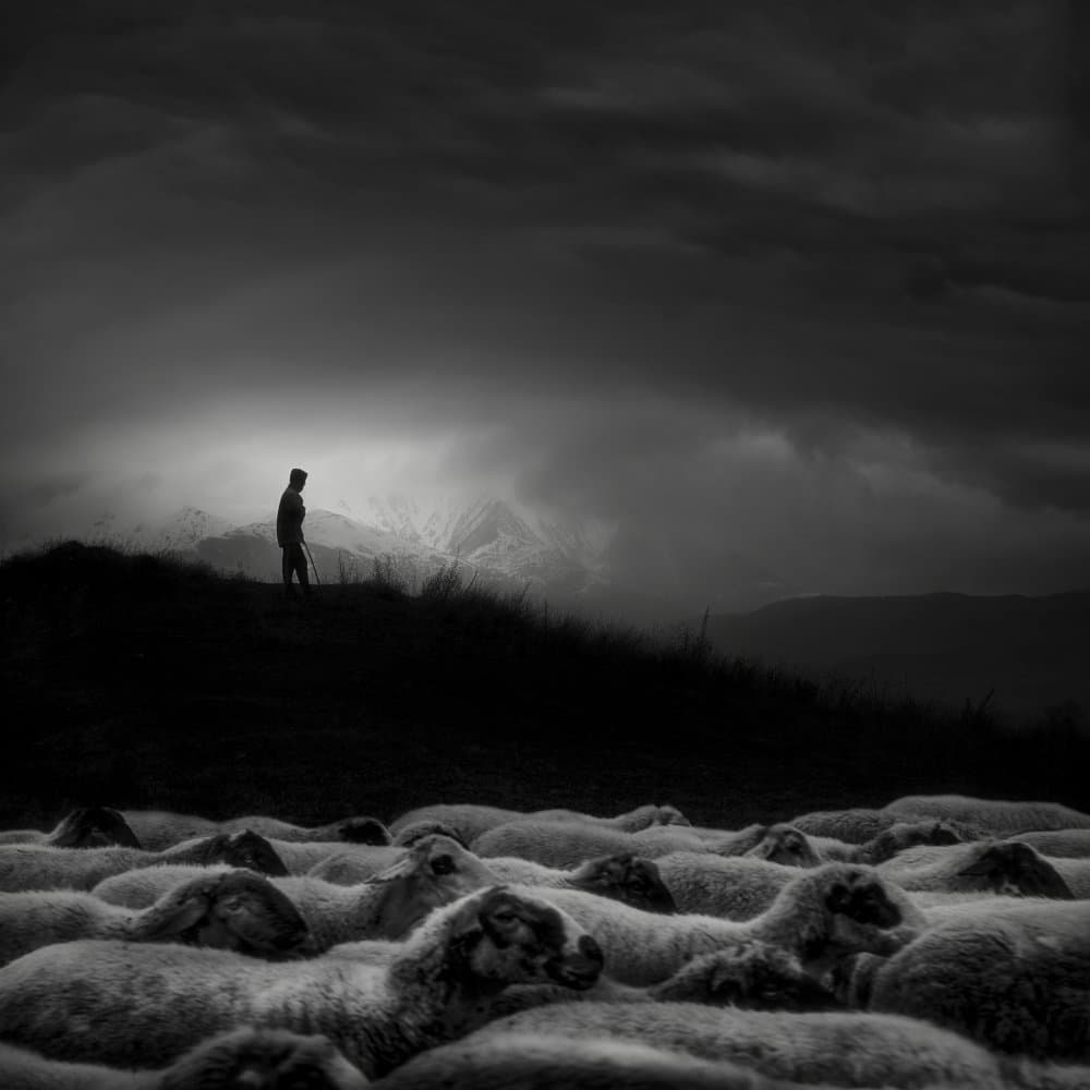 Shepherd and Stormy Flock by Todor Tanev — canvas wall art