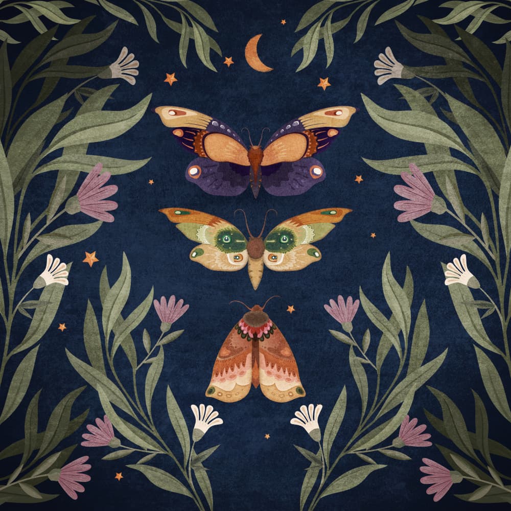 Moth Nocturne by Emel Tunaboylu — canvas wall art