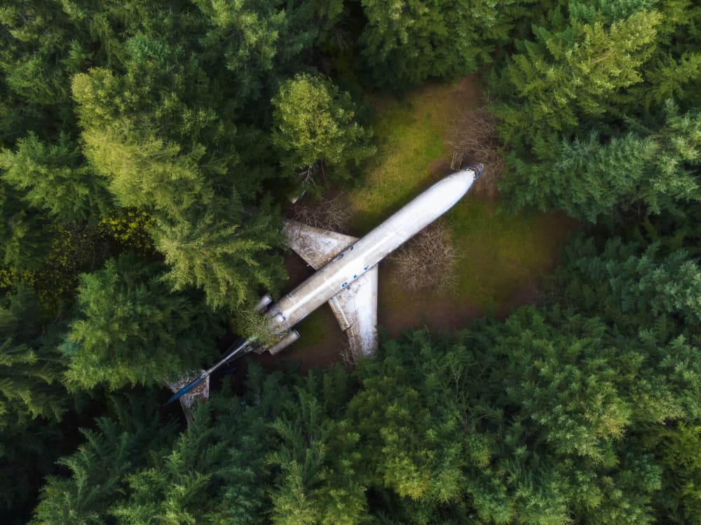 Hidden Forest Plane by Junbo Liang — canvas wall art