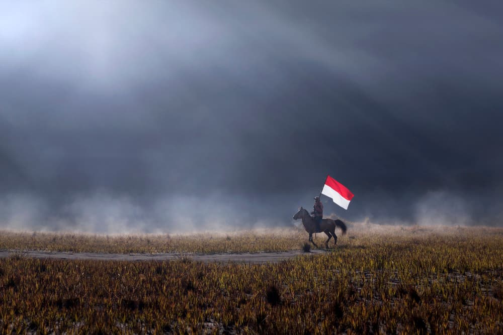 Misty Rider With Flag by Nunu Rizani — canvas wall art