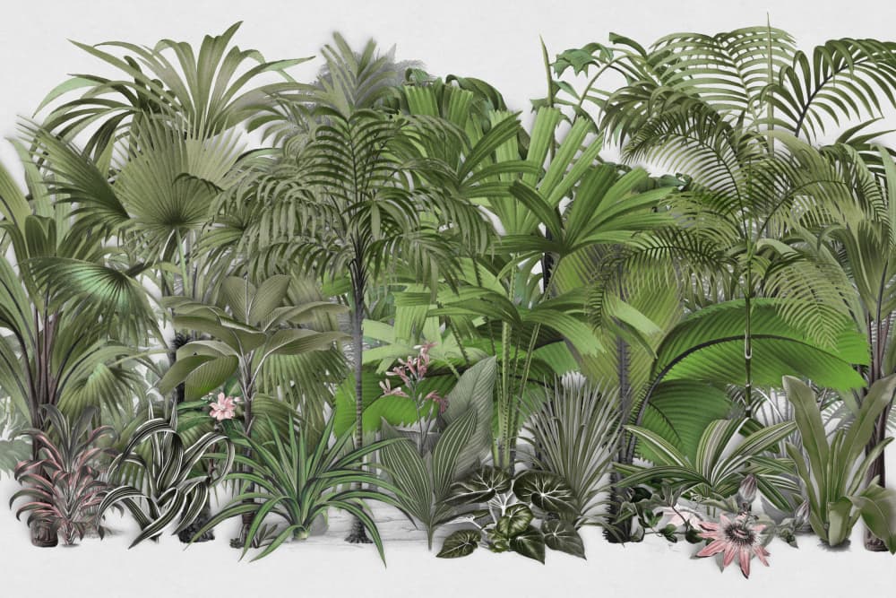 Lush Tropical Jungle by Andrea Haase — canvas wall art