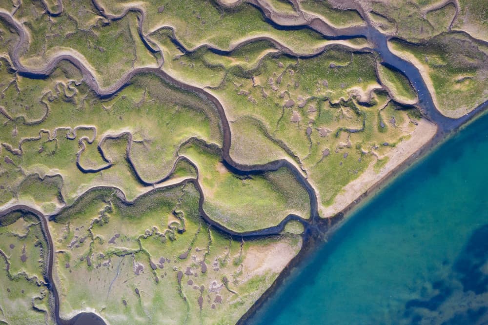Winding Green Estuary by Rodrigo Núñez Buj — canvas wall art