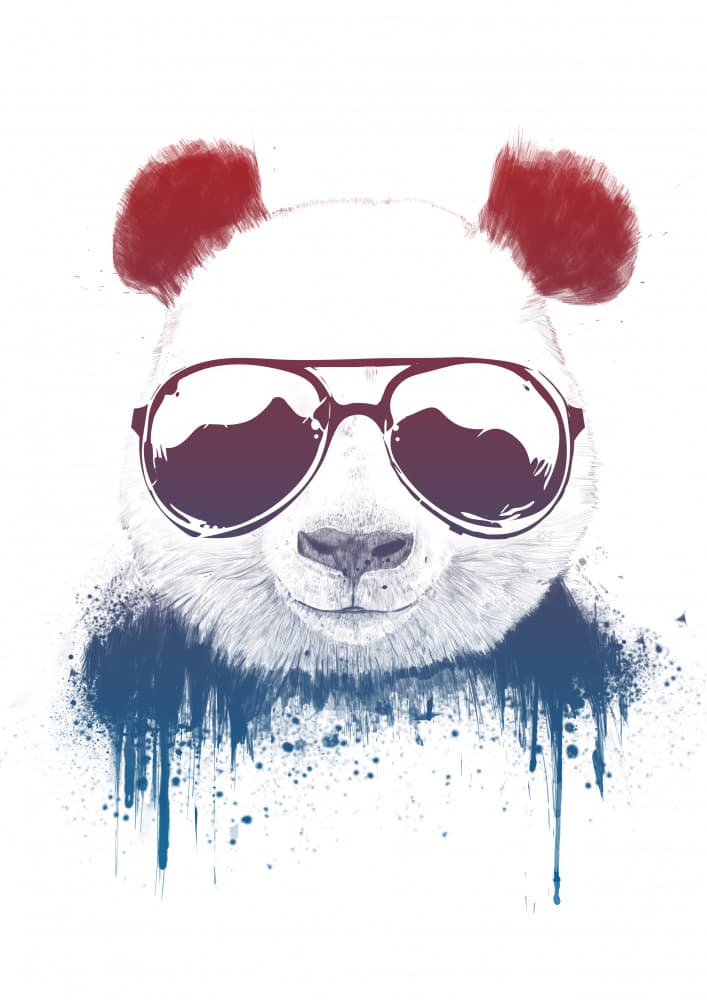 Cool Panda Splash by Balazs Solti — canvas wall art