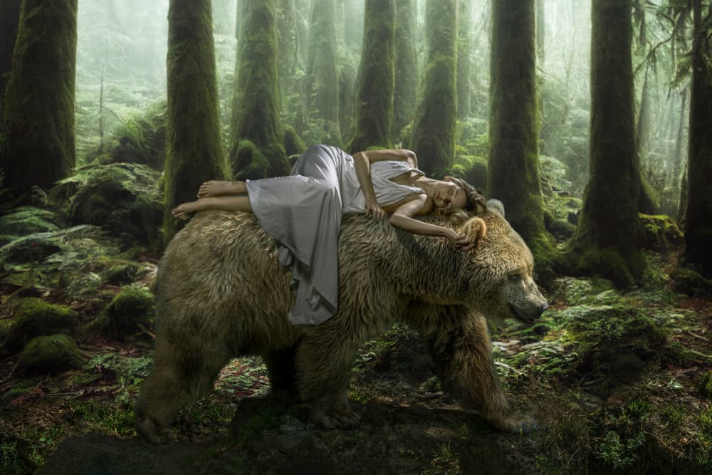 Dreaming on a Bear by Marcel Egger — canvas wall art