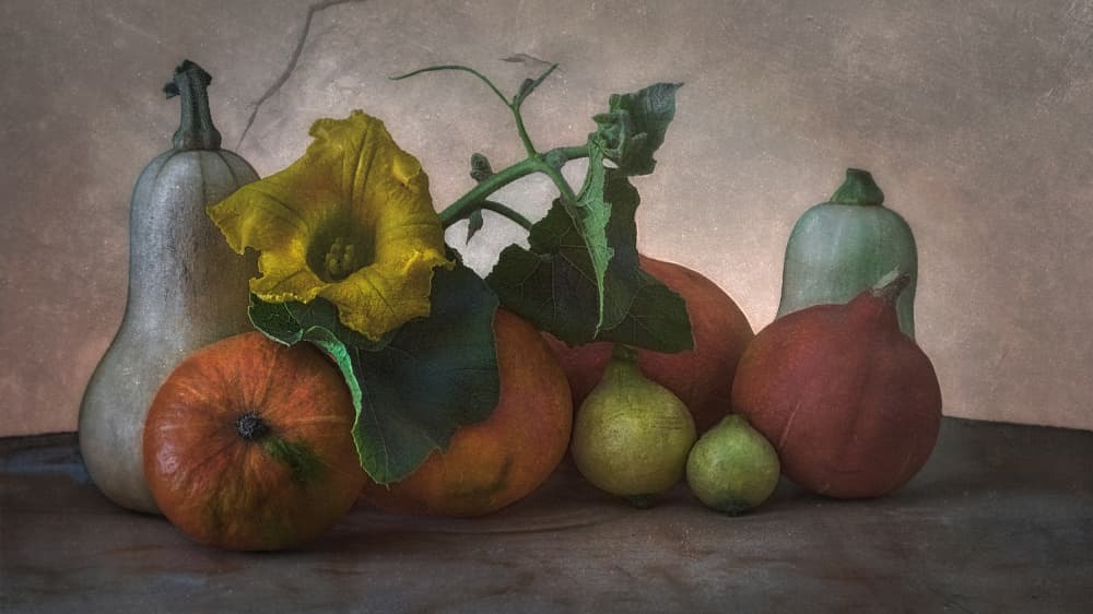Autumn Harvest Still Life by Marie-anne Stas — canvas wall art