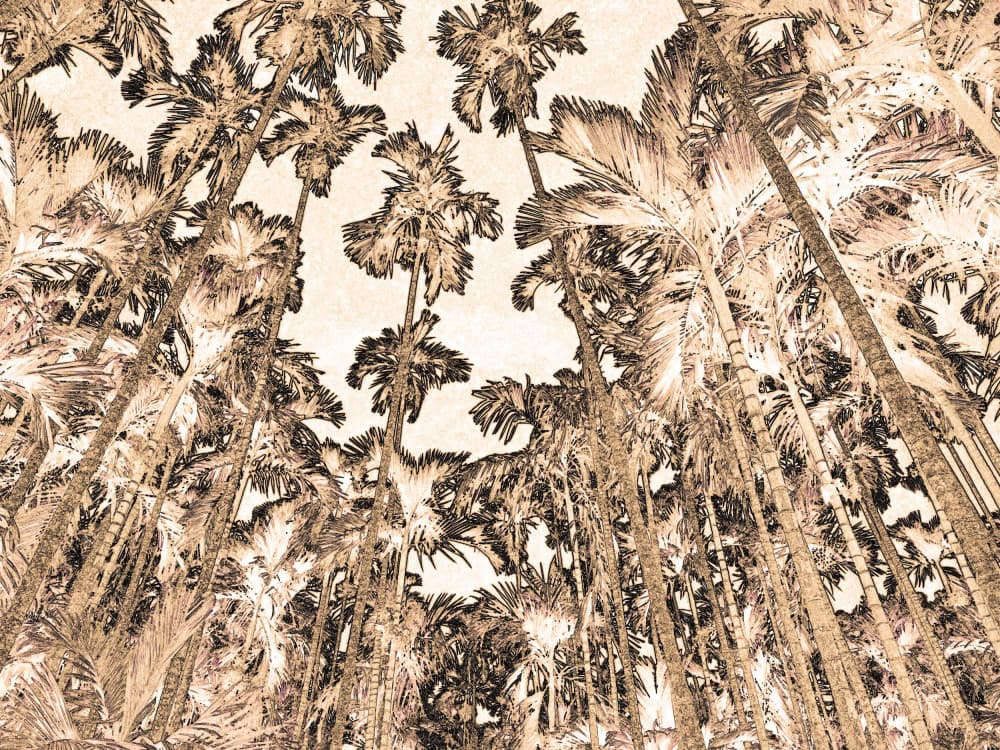 Tall Tropical Palms by Santhosh ch — canvas wall art