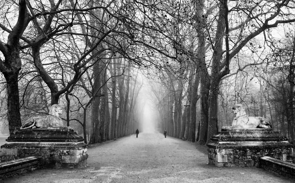 Misty Avenue Statues by Andrea Auf dem Brinke — canvas wall art