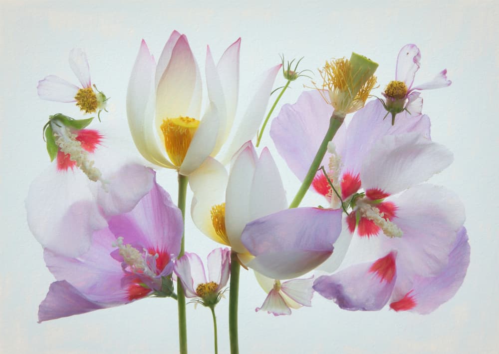 Ethereal Floral Composition by Fangping Zhou — canvas wall art