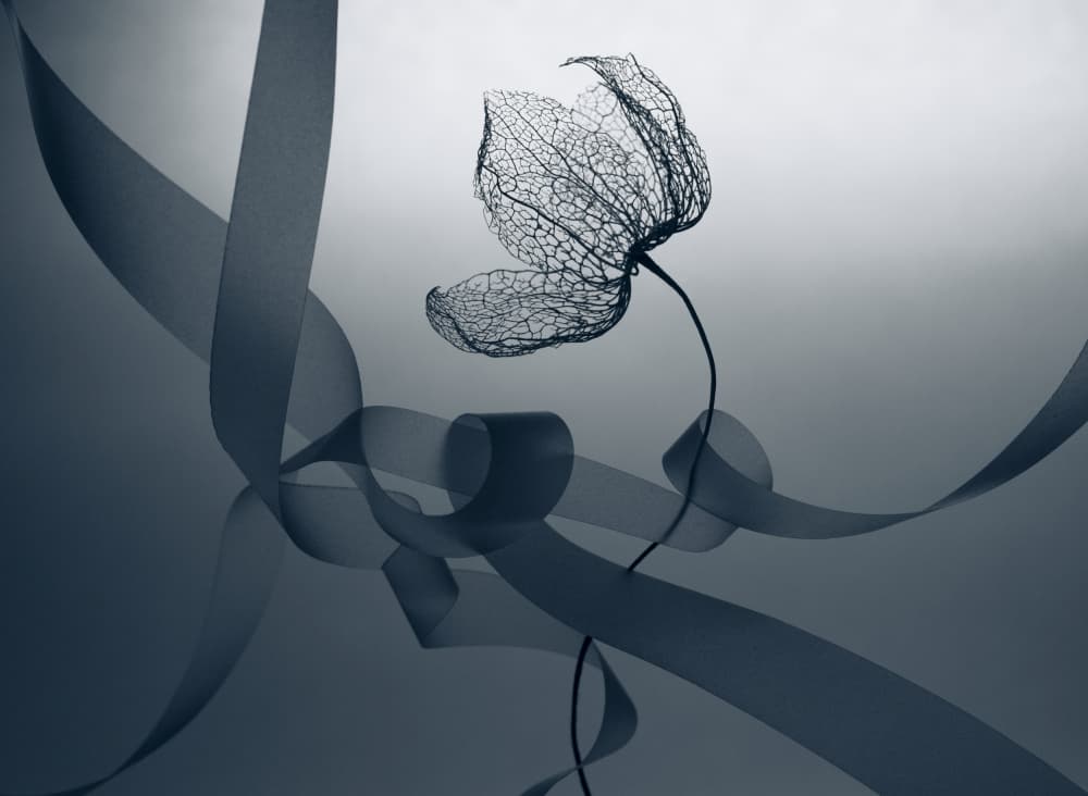 Delicate Botanical Flow by Shihya Kowatari — canvas wall art