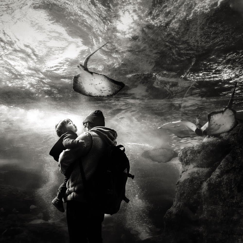 Aquarium Family Wonder by Kenichiro Hagiwara — canvas wall art