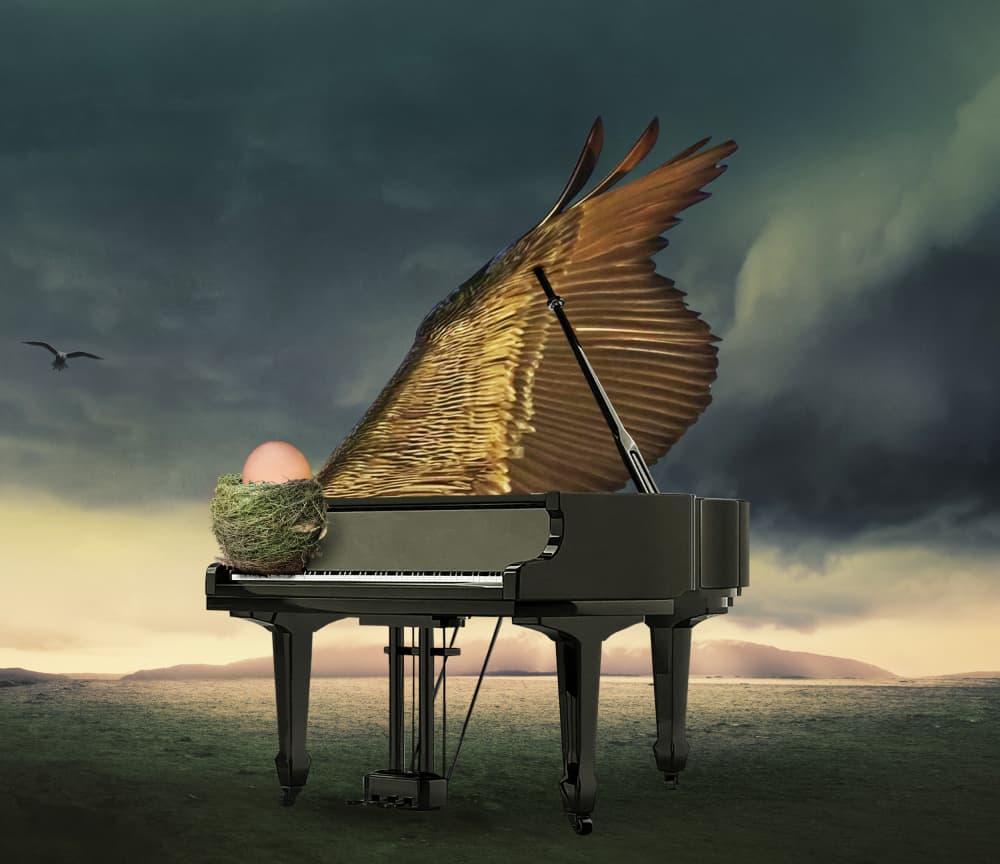 Grand Piano Wing Nest by Biao Huang — canvas wall art