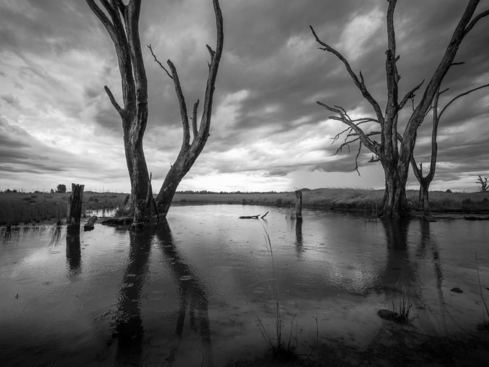 Stormy Wetland Reflections by Allan Li wp — canvas wall art