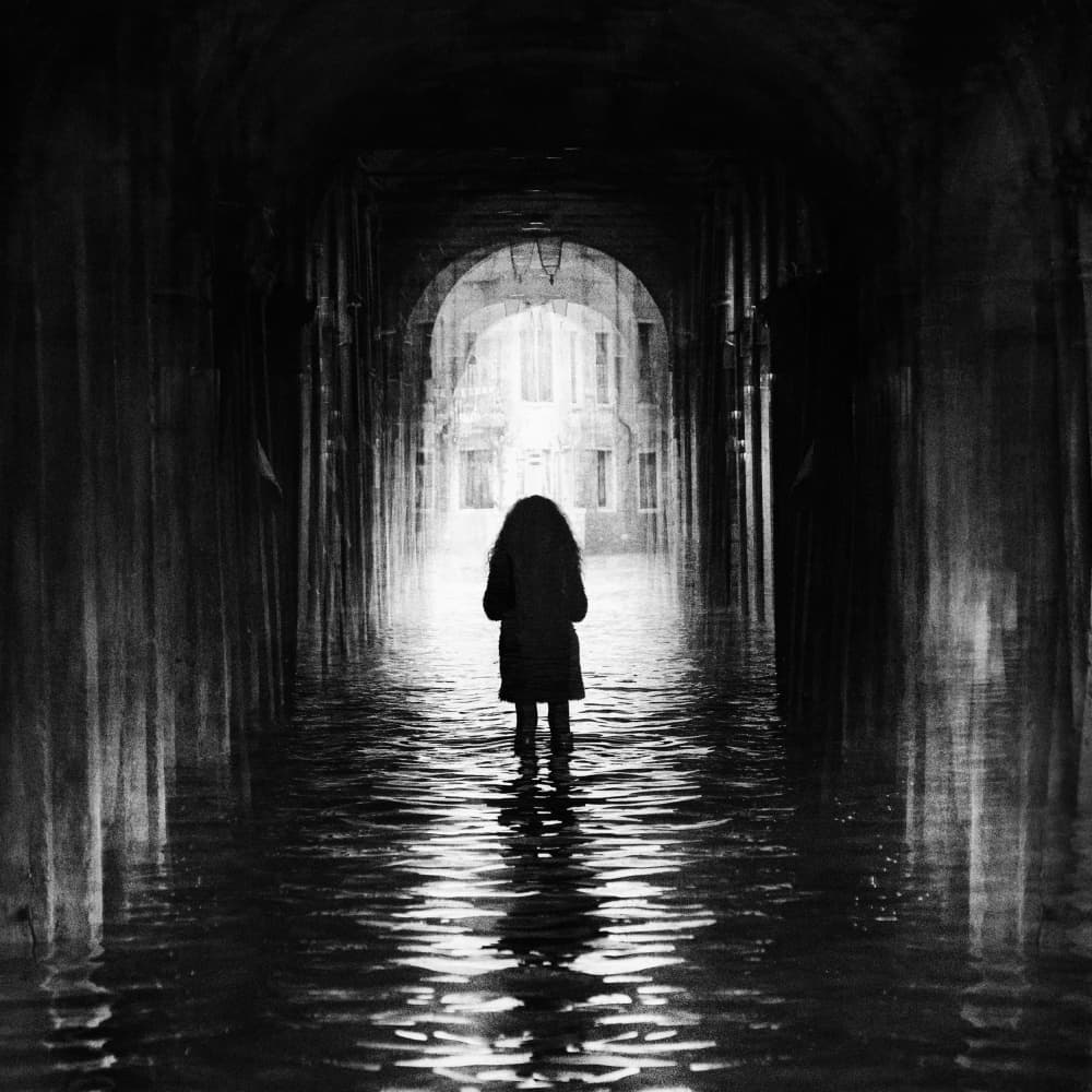 Solitary Path to Light by Damijan Sedevcic — canvas wall art