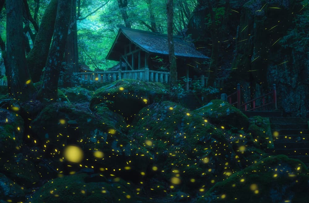 Enchanted Firefly Shrine by Vu van quan — canvas wall art