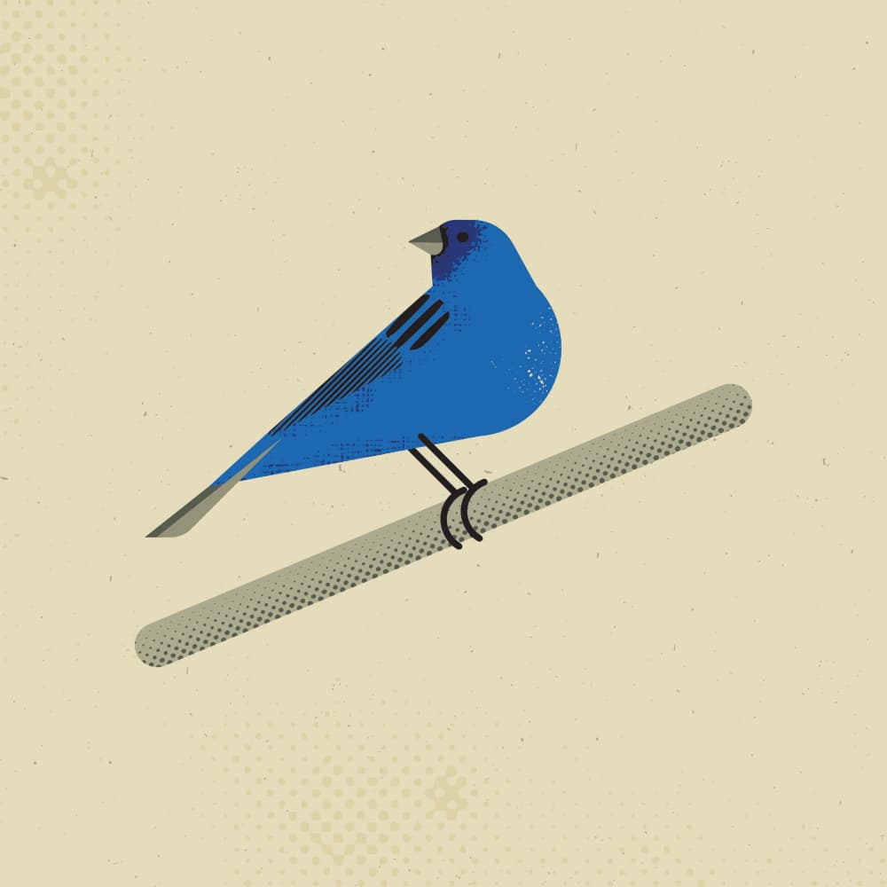 Blue Bird On Branch by The Creating Mind — canvas wall art