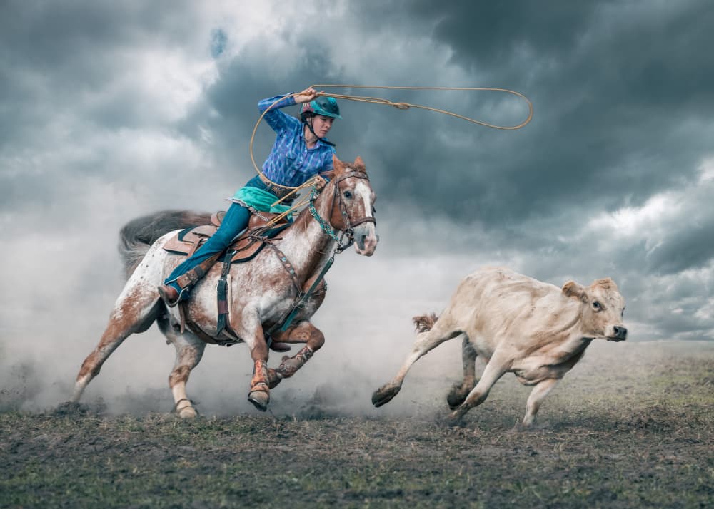 Cowgirl Roping Calf by Frank Ma — canvas wall art
