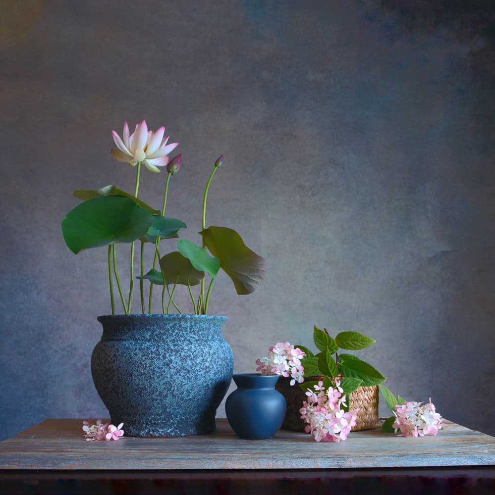 Serene Lotus Still Life by Fangping Zhou — canvas wall art