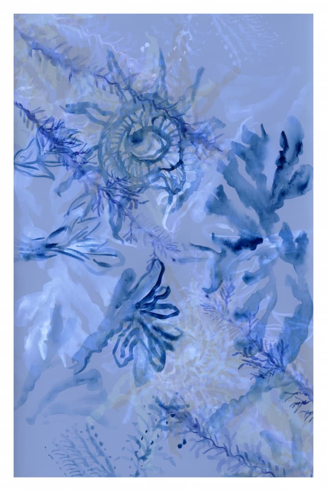 Deep Sea Botanicals by cartissi — canvas wall art