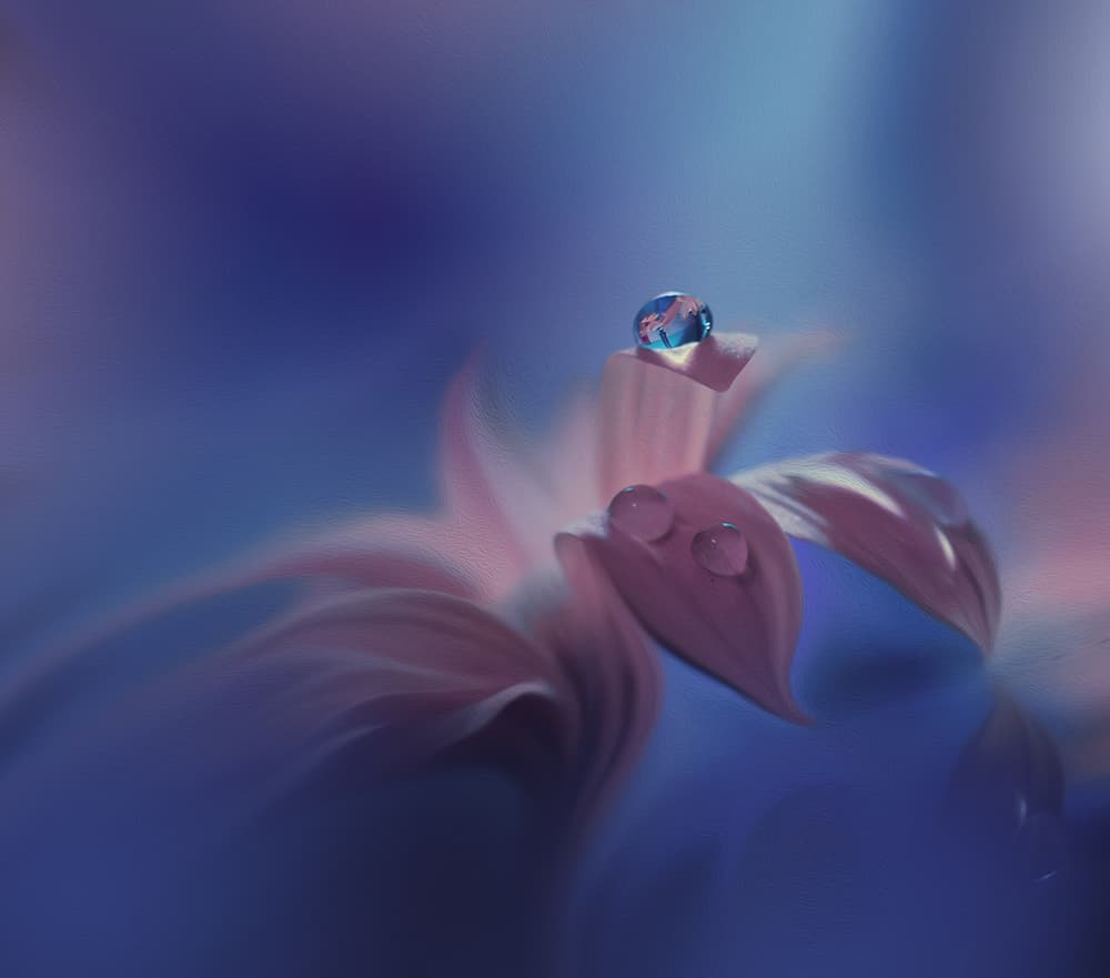 Soft Water Drops by Juliana Nan — canvas wall art