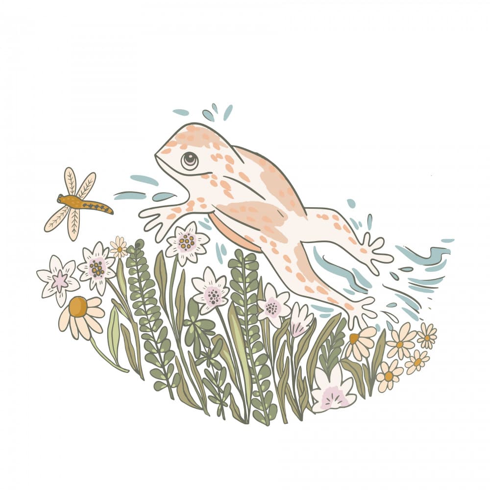 Whimsical Frog and Flowers by Nikita Jariwala — canvas wall art