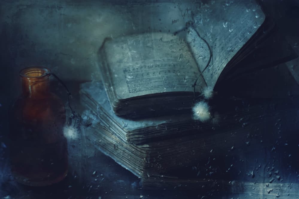 Old Books Rainy Day by Delphine Devos — canvas wall art