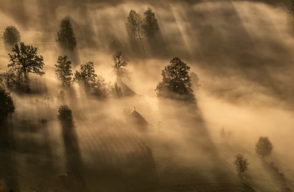 Golden Misty Morning by Joško Šimic — canvas wall art