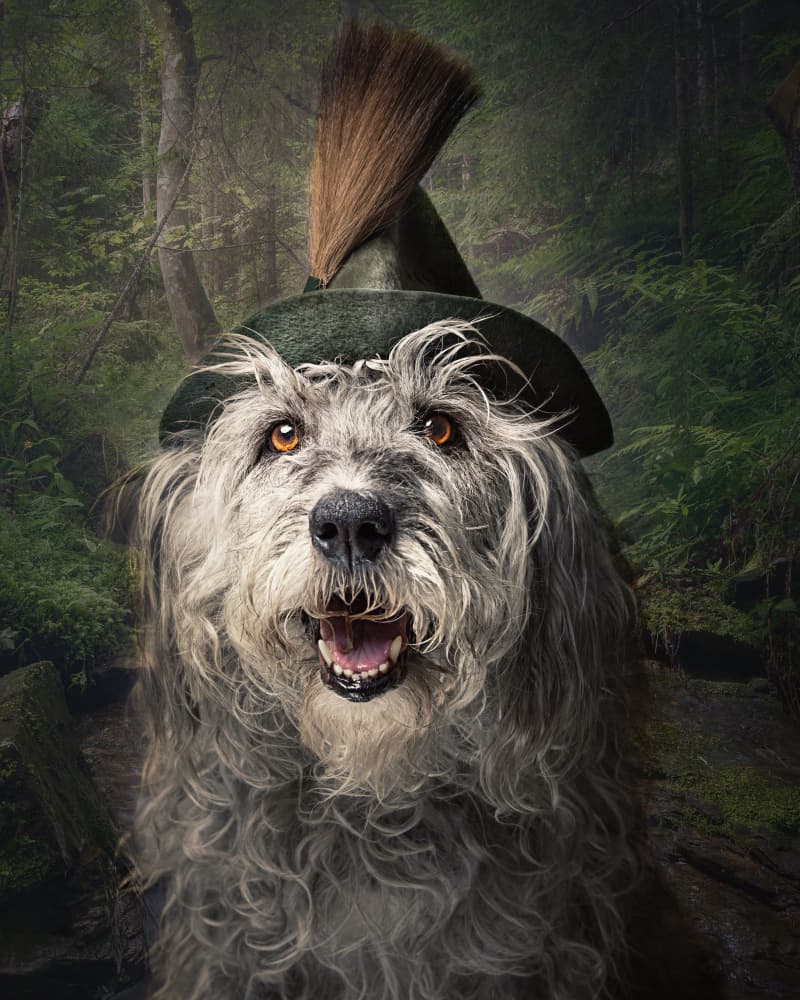 Whimsical Forest Dog by Hans Repelnig — canvas wall art