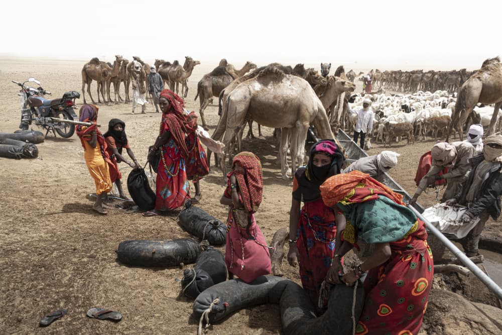 so much activity around the well at Borkou desert, Tchad by Elena Molina — canvas wall art