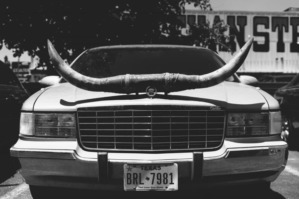 Texas Longhorn Car by Bethany Young — canvas wall art