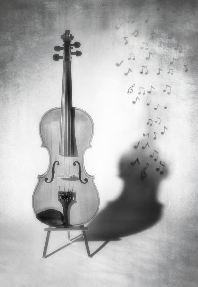 Violin's Musical Shadow by Louis-Philippe Provost — canvas wall art