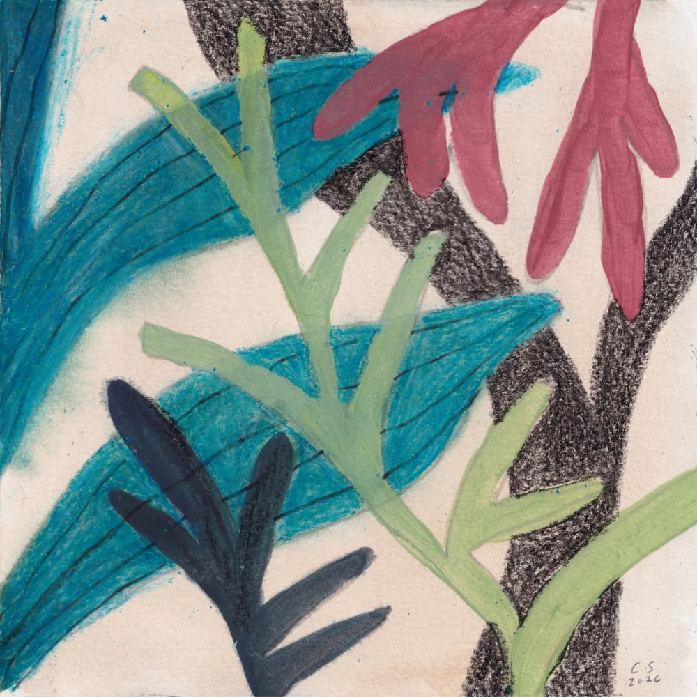 Colorful Abstract Foliage by Catalina Somolinos — canvas wall art