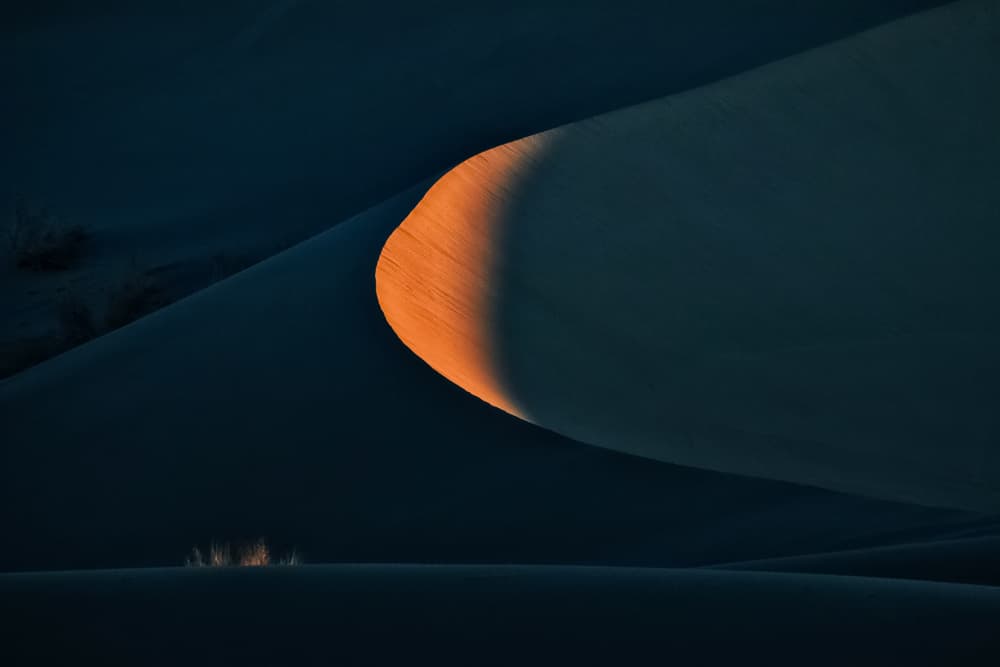 Golden Desert Dune by Babak Mehrafshar — canvas wall art