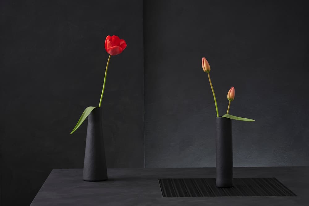 Red Tulip and Buds by Christophe Verot — canvas wall art