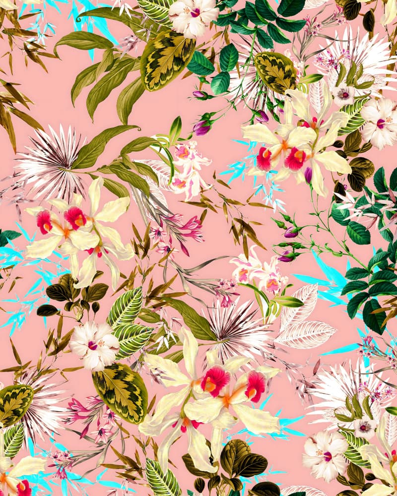 Tropical Pink Orchids