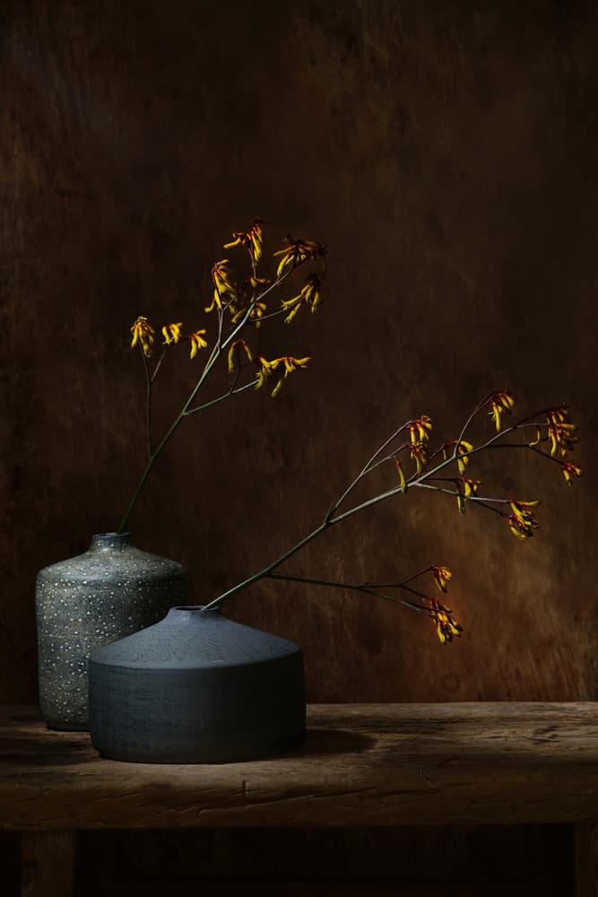 Moody Botanical Vases by Saskia Dingemans — canvas wall art
