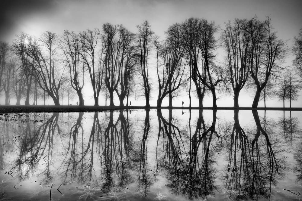 Misty Winter Reflection by Kristjan Rems — canvas wall art