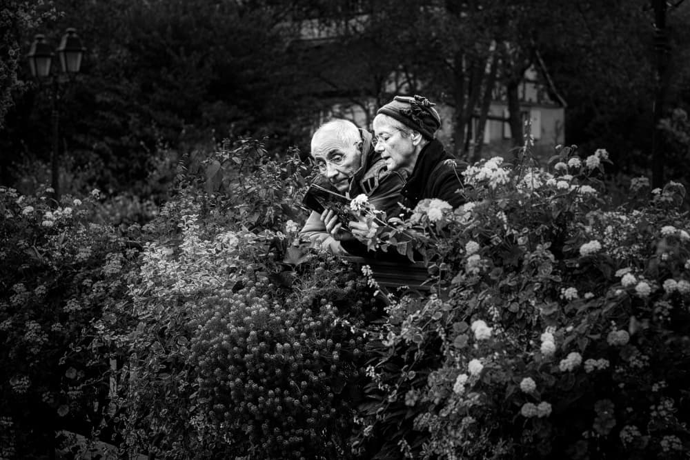 Love Amidst The Roses by Eiji Yamamoto — canvas wall art