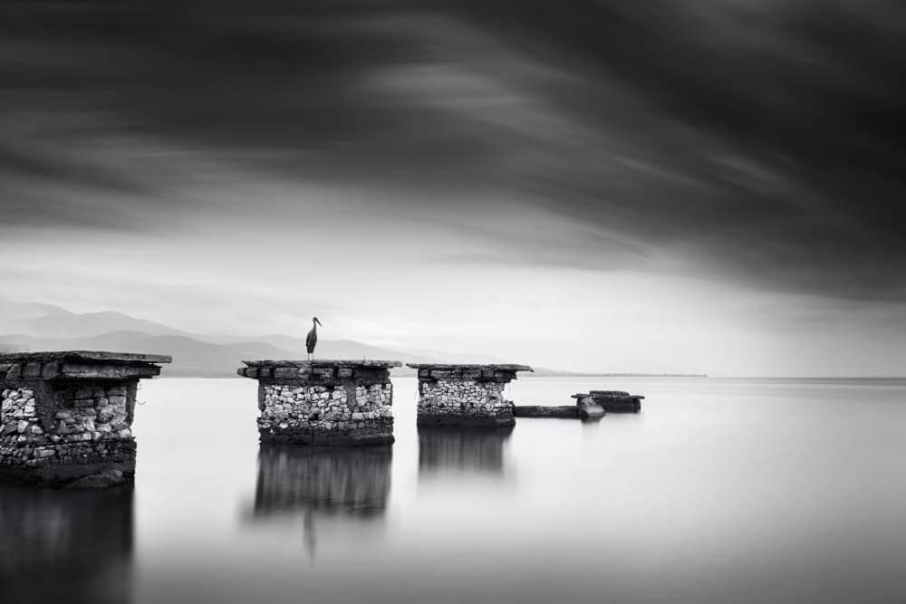 Serene Heron Pier by George Digalakis — canvas wall art