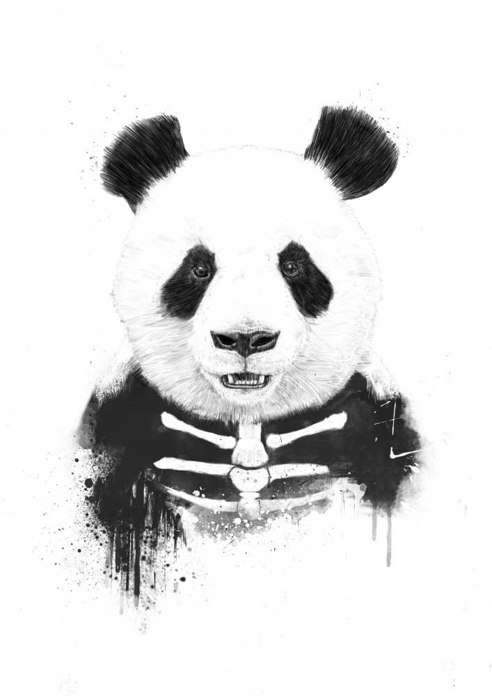 Spooky Panda Portrait by Balazs Solti — canvas wall art