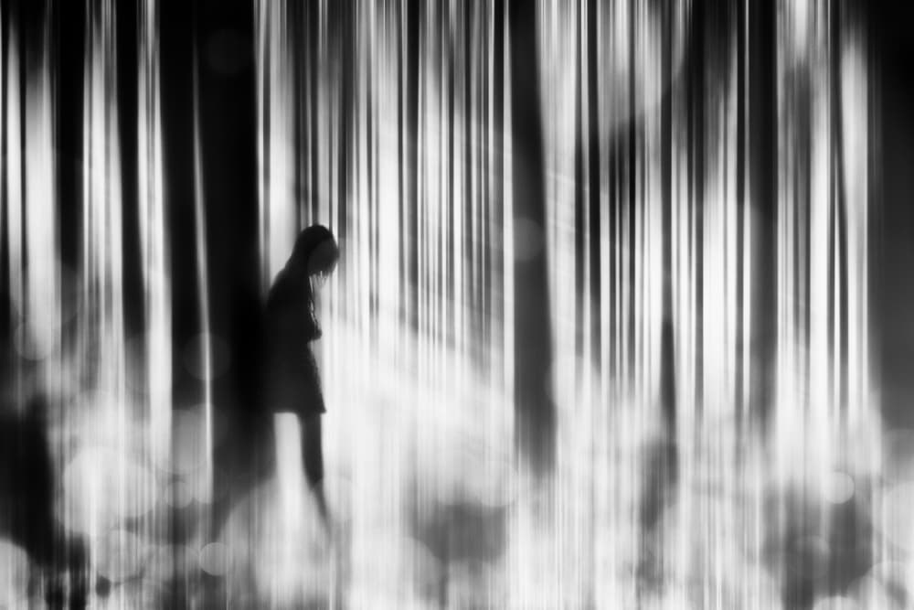 Solitary Forest Figure by Stefan Eisele — canvas wall art