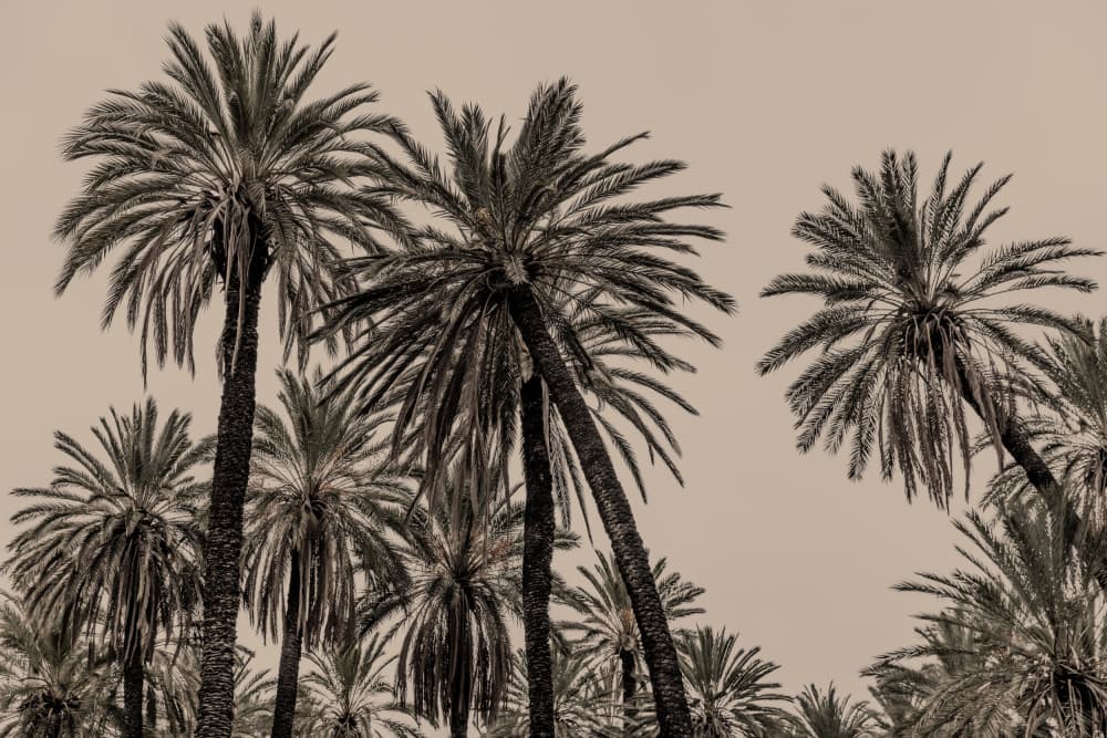 Sicilian Memories 15 by Mareike Böhmer — canvas wall art